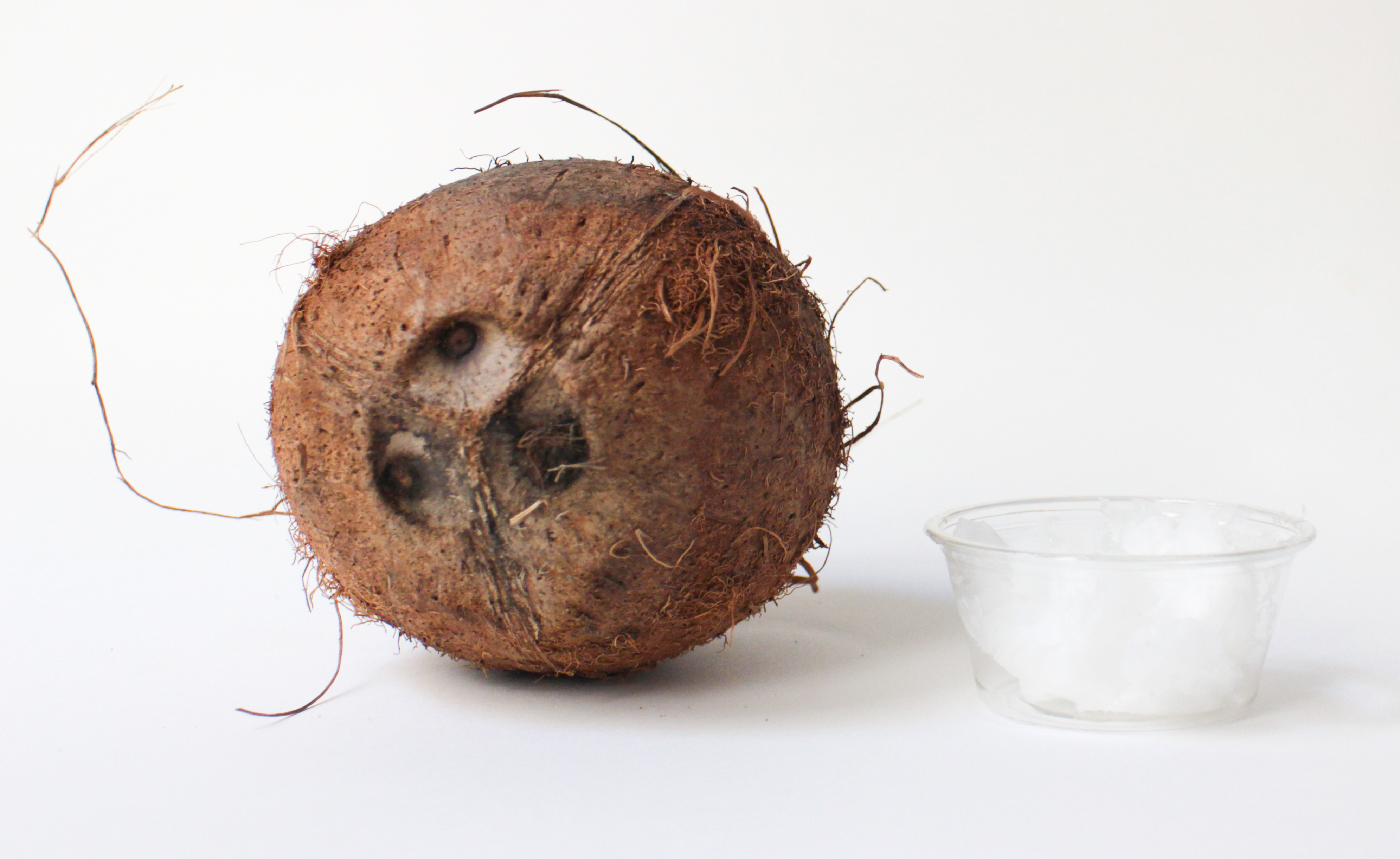 photo1 1 La noix de coco et ses bienfaits