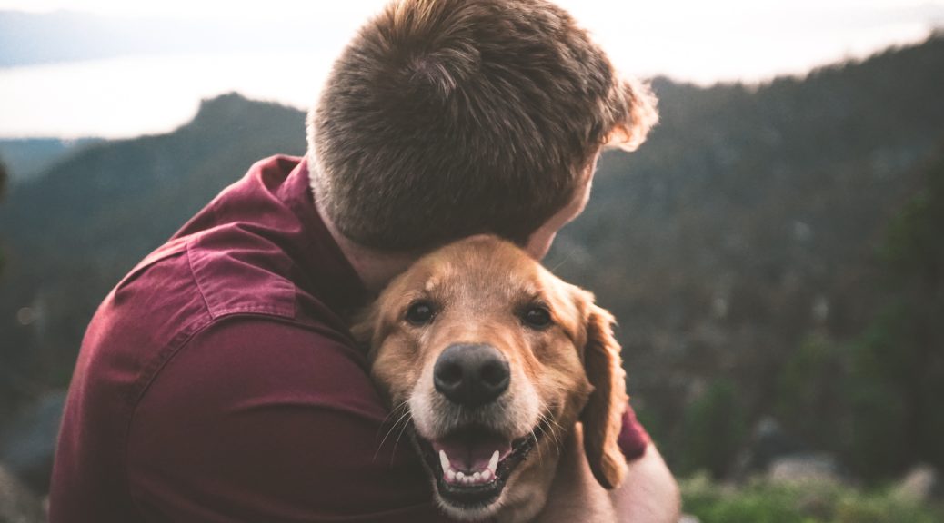 Un homme tenant un chien de la race golden retriver dans ses bras